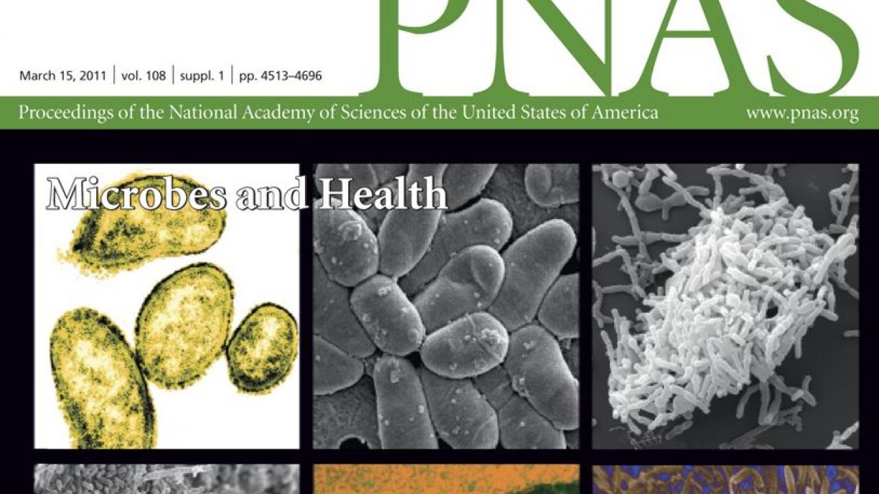 Supplement to PNAS cover