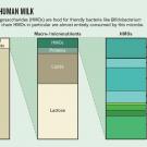 Milk Bioactives 